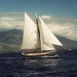 CENTENNIAL SPRAY 38
